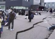 Gempa M 7,4 Di Jepang Picu Peringatan Tsunami