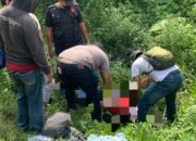 Wanita Hamil Ditemukan Tewas Di Perkebunan Tebu Sunggal