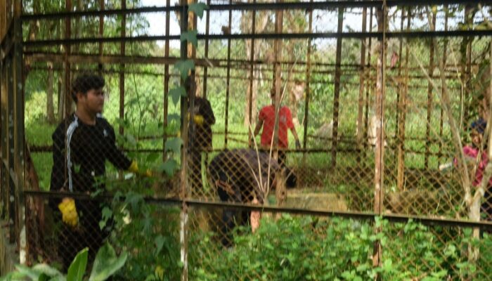 PDHI Sumut Sedih Satwa Bermatian Di Medan Zoo