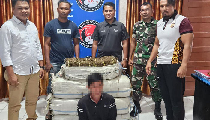 Kodim 0104/Atim Gagalkan Penyelundupan 75 Kg Ganja Di Peunaron
