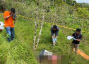 Akibat Ranting Kayu, Petani Di Samosir Dianiaya Hingga Tewas