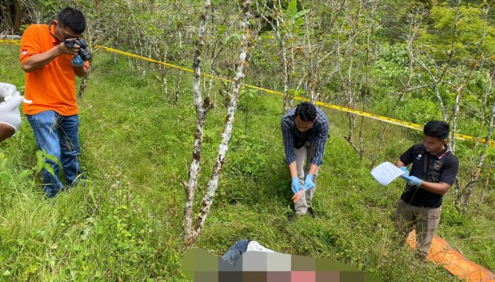 Akibat Ranting Kayu, Petani Di Samosir Dianiaya Hingga Tewas