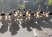 15 Gemot Diamankan Dalam Razia Gabungan Di Binjai