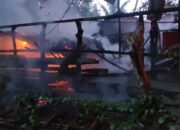Kandang Sapi Musnah Terbakar Di Luthu