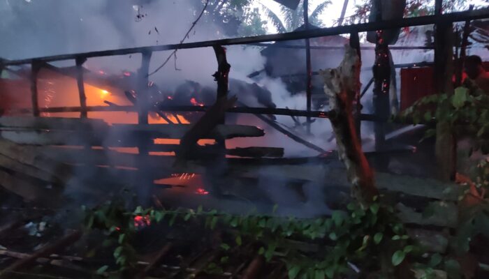 Kandang Sapi Musnah Terbakar Di Luthu