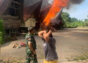 Rumah Adat Batak Terbakar Di Sianjur Mula-mula 