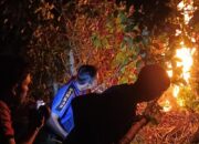 Dua Sarang Tawon Dimusnahkan Di Lhoknga