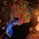 Petugas BPBD Aceh Besar melakukan pemusnahan sarang tawon di Gampong Mon Ikeun dan Lamkruet, Kecamatan Lhoknga, Aceh Besar, Selasa (2/1) malam. (Waspada/Ist)