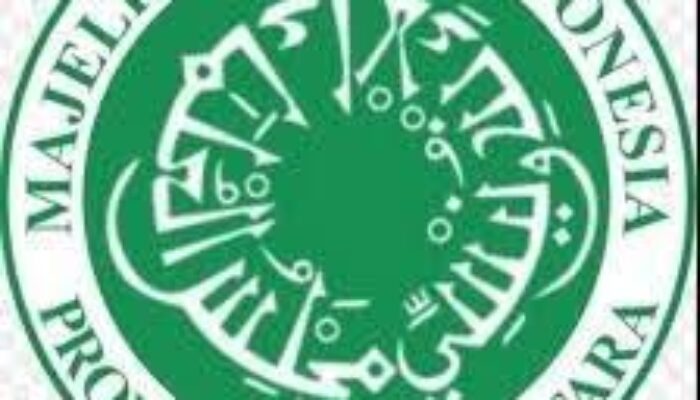 MUI Sumut Nilai Pernyataan AS Ke Palestina Bukti Pertolongan Allah Nyata