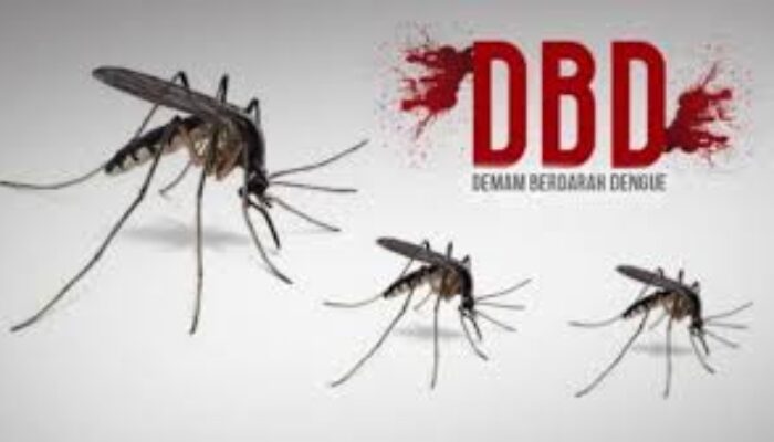 Waspadai ISPA Dan DBD Di Januari
