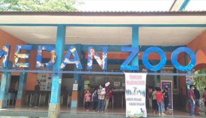 Pemko Medan dan PUD Pembangunan Terkesan Santai Tangani Satwa Sakit Di Medan Zoo