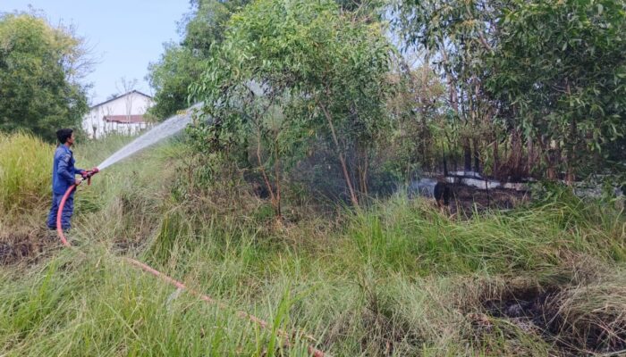 Setengah Hektar Lahan Terbakar Di Peukan Bada