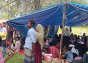 UNHCR Pasang Tenda Darurat Tampung 137 Etnis Rohingya