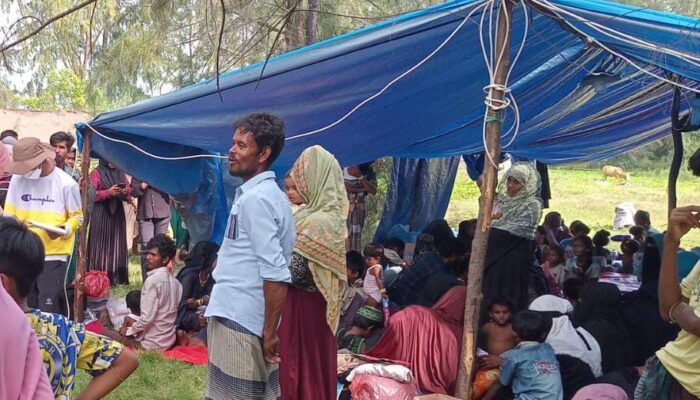UNHCR Pasang Tenda Darurat Tampung 137 Etnis Rohingya