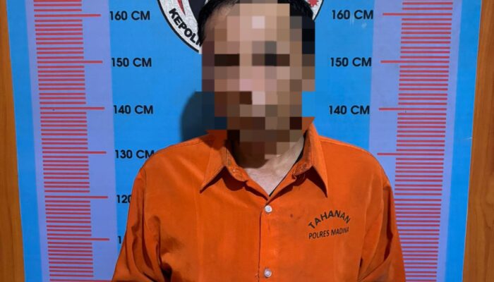 Edarkan Sabu, Residivis Narkoba Kembali Diciduk Polisi Madina