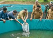 Bersama Gapoktan, Reza Fahlevi Tebar 24 Ribu Bibit Ikan Lele