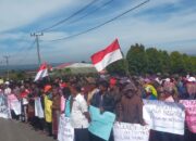 Lembaga Adat Desa Riaria Unjukrasa Ke Kantor Bupati Humbahas