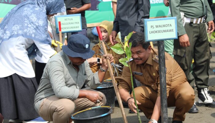 Upayakan Kota Adipura, Pemko Lhokseumawe Tanam 3000 Mangrove Dan Bentuk Kampung Iklim