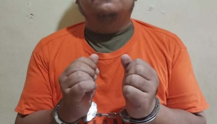 7 Tahun Gauli Gadis, Asisten Kebun Di Paluta Ditangkap Polisi