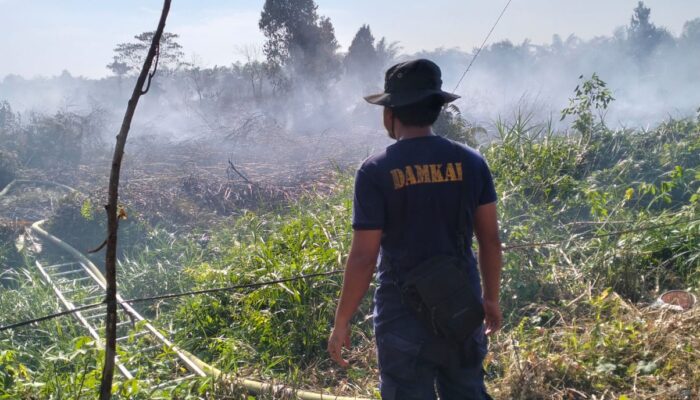 Satu Hektar Lahan Terbakar Di Lapang
