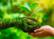 Teknologi Hijau; Masa Depan Aceh
