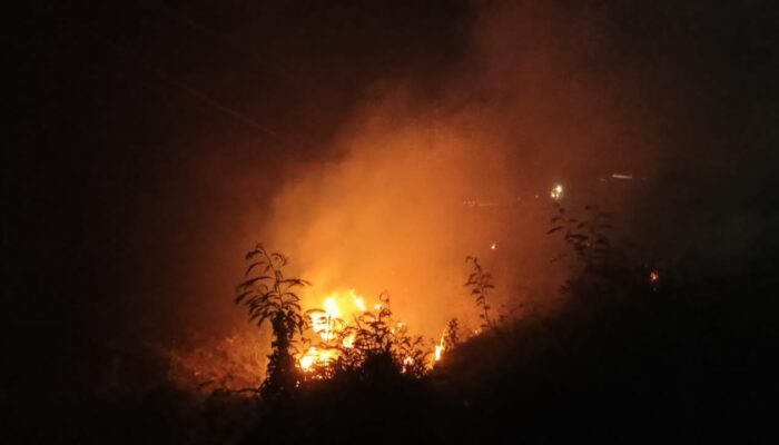 Lagi Kebakaran Lahan Terjadi Di Lhoknga