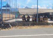 Masyarakat Kampung Lukup Sabun Antusias Datangi TPS