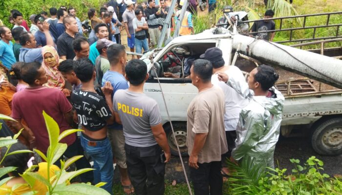 Tiang PLN Tumbang Timpa Pikap, Sopir Tewas