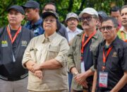 Menteri LHK Dan PWI Pusat Tanam Mangrove Di TWA Angke-Kapuk, Jakarta