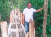 Hutan Mangrove Silo Baru Berpotensi Agrowisata