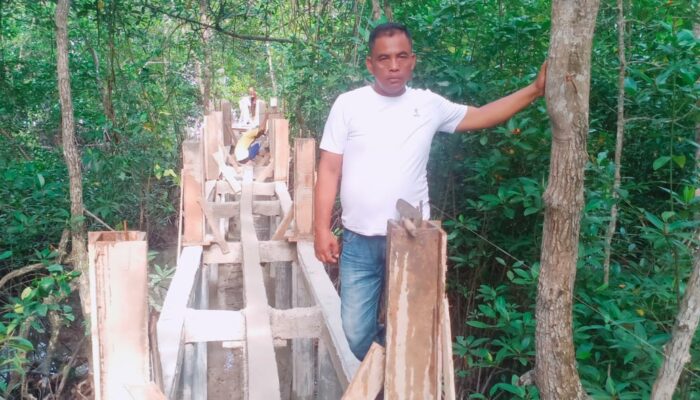 Hutan Mangrove Silo Baru Berpotensi Agrowisata