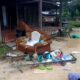 Massa Pendukung Fanatik Salah Satu Caleg Rusak 6 Rumah Simpatisan Caleg Berbeda