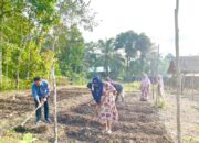 Medco Bina Lima Poktan Perempuan Di Aceh Timur