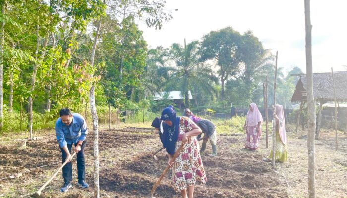 Medco Bina Lima Poktan Perempuan Di Aceh Timur