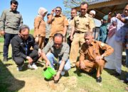 Pemkab Aceh Besar – Angkasa Pura II Tanami Tabebuya Di Gampong Nusa