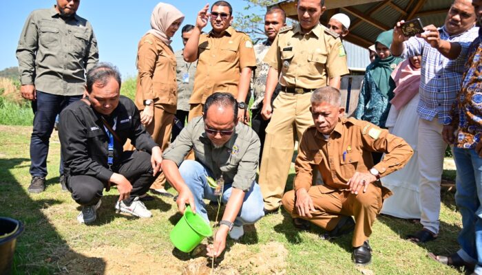 Pemkab Aceh Besar – Angkasa Pura II Tanami Tabebuya Di Gampong Nusa