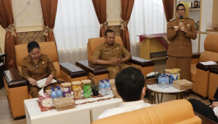 Kepala Perwakilan BPKP Provsu Apresiasi Komitmen Wali Kota P. Siantar