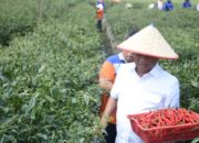 Bupati Sergai Dorong Peningkatan Pertanian Sektor Hortikultura