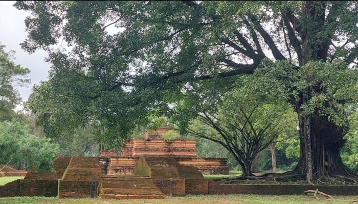 Capai 3.981 Hektar Persegi, Kawasan Cagar Budaya Candi Muarajambi Terluas di Asia Tenggara