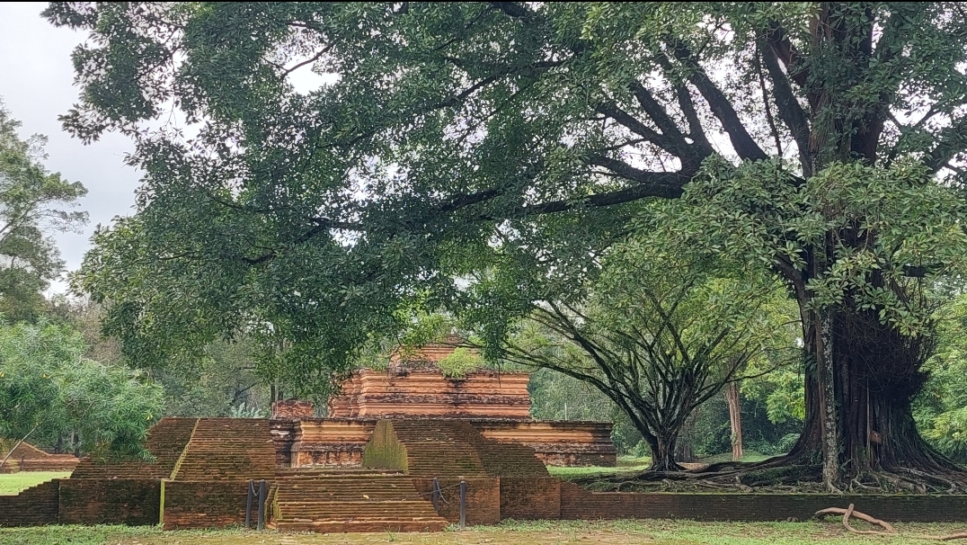 Capai 3.981 Hektar Persegi, Kawasan Cagar Budaya Candi Muarajambi Terluas di Asia Tenggara