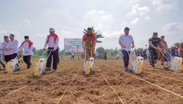 Panen 8 Ton Jagung Bersama Bobby Nasution, Mentan: Ini Luar Biasa, Semoga Hentikan Impor