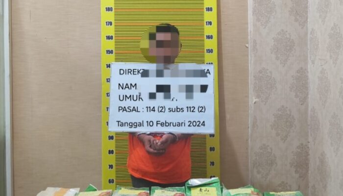 Poldasu Tangkap Bandar Narkoba, 13 Kg Sabu-sabu Diamankan