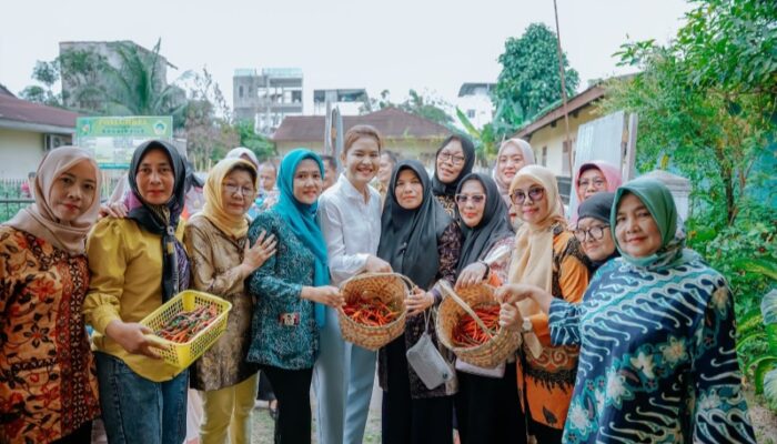 Kelompok Tani Bogainvile Makin Termotivasi Atas Kehadiran Ny Kahiyang Ayu