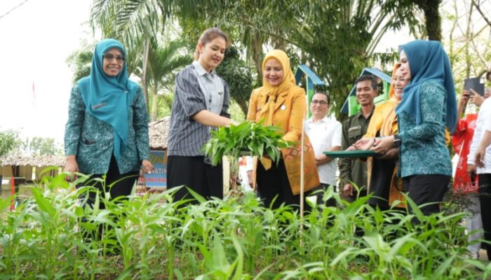 Kelurahan Pulo Brayan Bengkel Baru Sukses Optimalkan Pemanfaatan Lahan Tidur