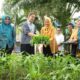 Kelurahan Pulo Brayan Bengkel Baru Sukses Optimalkan Pemanfaatan Lahan Tidur