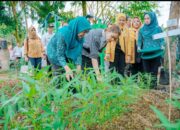 Ny Kahiyang Ayu Apresiasi Inovasi Yang Dilakukan Kelurahan Pulo Brayan Bengkel Baru