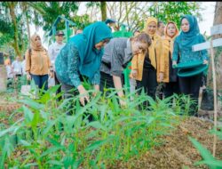 Ny Kahiyang Ayu Apresiasi Inovasi Yang Dilakukan Kelurahan Pulo Brayan Bengkel Baru