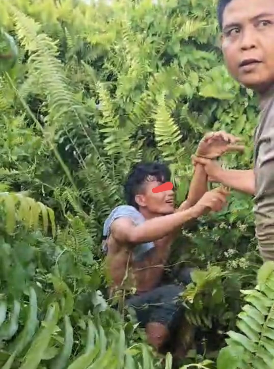 Sakit Hati, Seorang Pemuda Bunuh Wanita Paruh Baya Di Bawolato Sakit Hati, Seorang Pemuda Bunuh Wanita Paruh Baya Di Bawolato