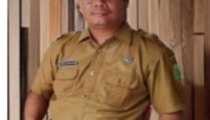 50 Persen Satuan Pendidikan Di Palas Mulai Terapkan Kurikulum Merdeka