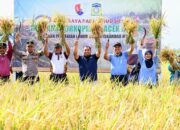 Pj Bupati-Danlanud SIM Panen Raya Padi MT Rendengan 2024